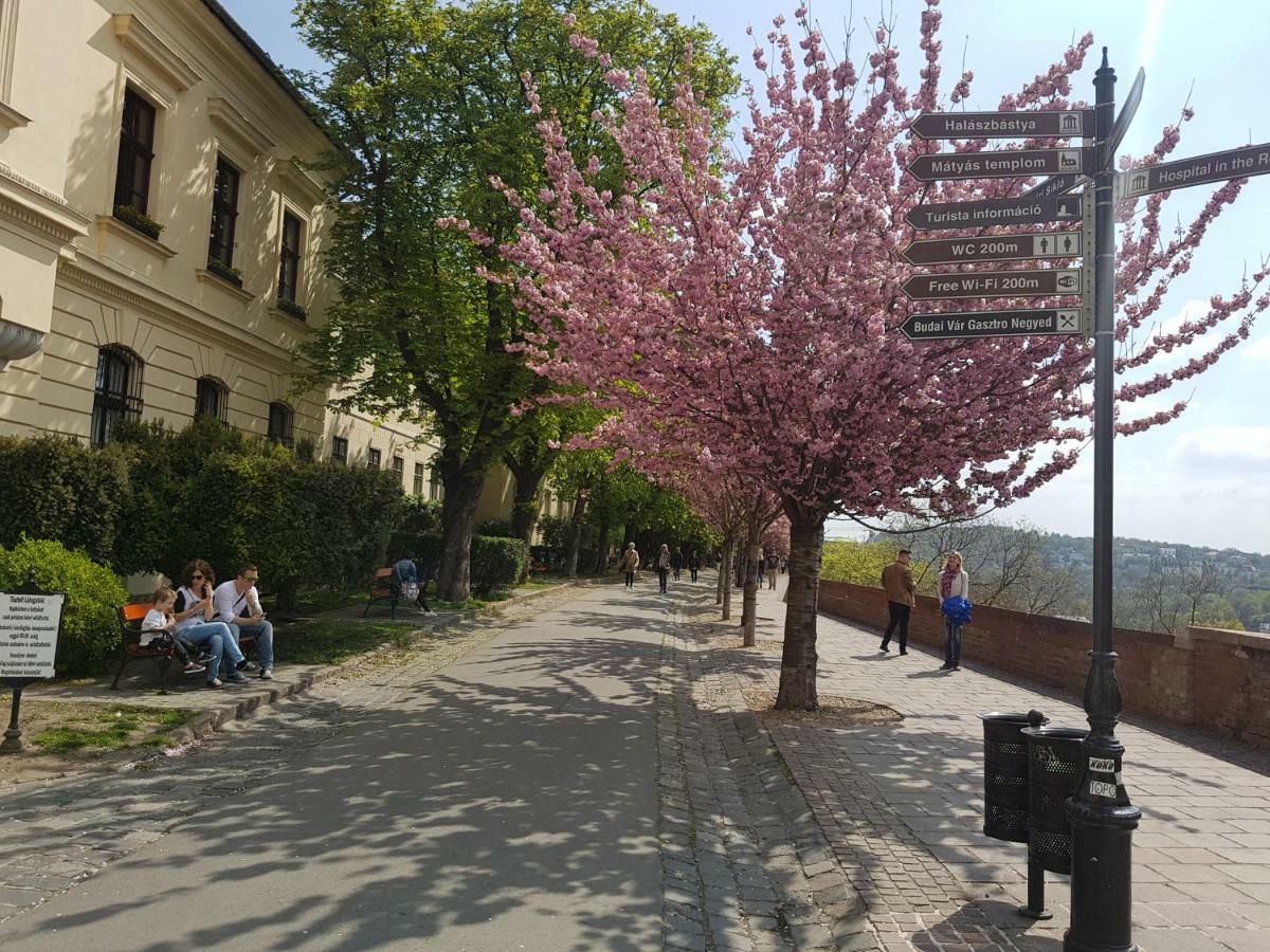 Budasmile Appartment At Buda Castle - Aircon & Free Parking Budapest Exterior foto